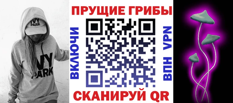 МЕГА ССЫЛКА  Оса  Псилоцибиновые грибы мицелий 